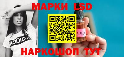 шишки Кандалакша