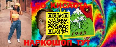 СК Кингисепп