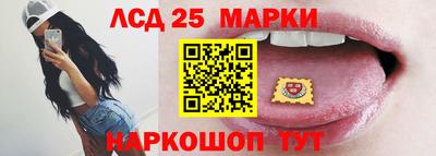 шишки Кандалакша