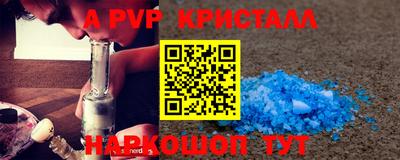 шишки Кандалакша