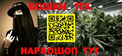 СК Кингисепп