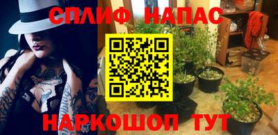 мескалин Камышлов