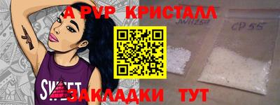 шишки Кандалакша