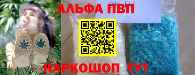 СК Кингисепп