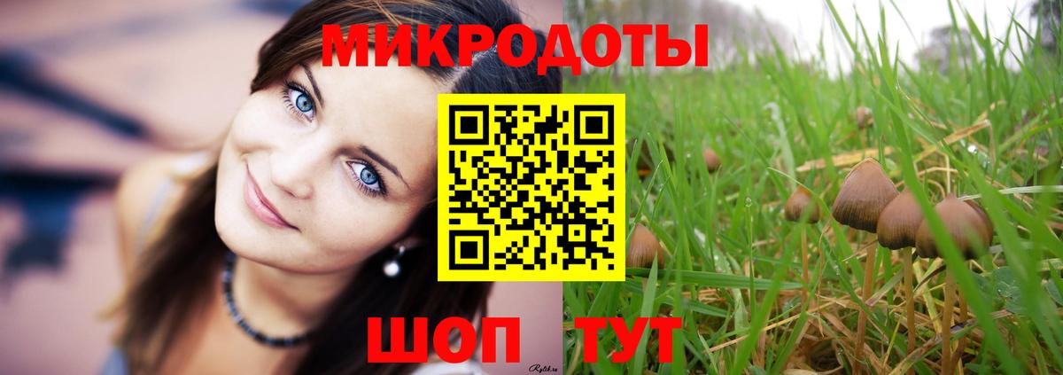 Псилоцибиновые грибы GOLDEN TEACHER  Вход с VPN  Азов 